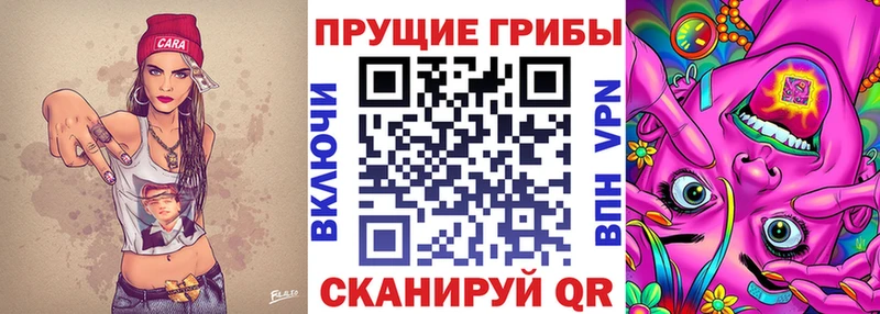 Псилоцибиновые грибы Magic Shrooms Купить Анапа